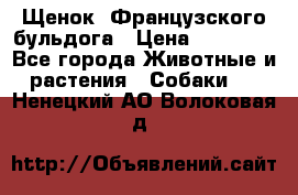 Щенок  Французского бульдога › Цена ­ 35 000 - Все города Животные и растения » Собаки   . Ненецкий АО,Волоковая д.